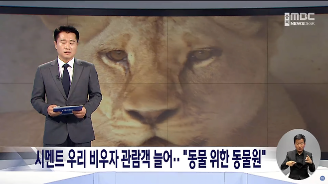 스크린샷(1112).png 시멘트 우리 비우자 관람객 늘어.. "동물 위한 동물원"