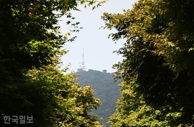 독립기념관 단풍나무숲길에서 보이는 흑성산 정상. 방송사 중계탑과 흑성산성 성루가 보인다.