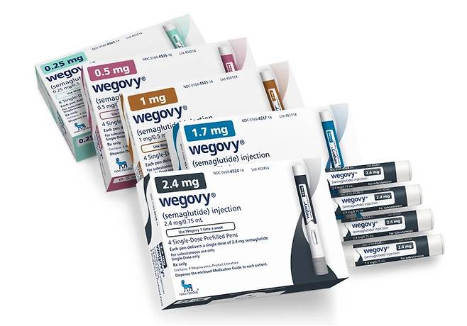 덴마크의 노보 노디스크사에서 개발한 비만치료제 위고비. AP연합뉴스