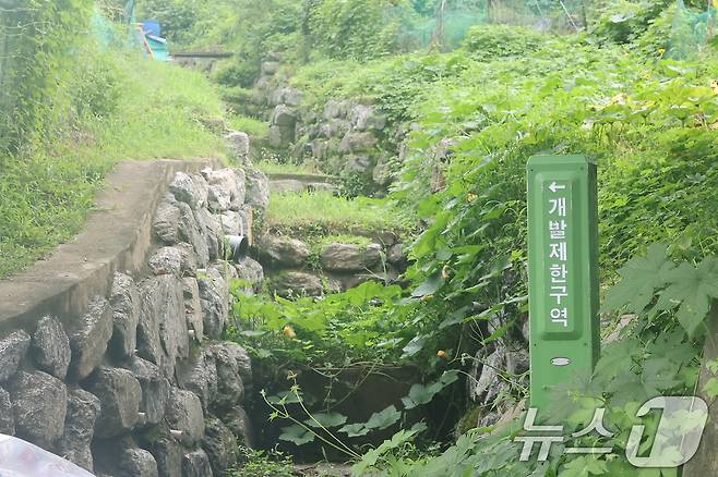 서울 서초구 내곡동 일대 개발제한구역 모습. 2024.8.8/뉴스1 ⓒ News1 김진환 기자