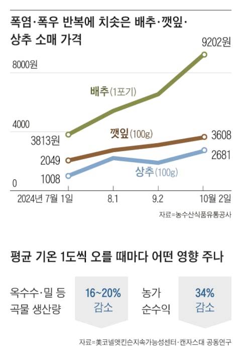 그래픽=백형선