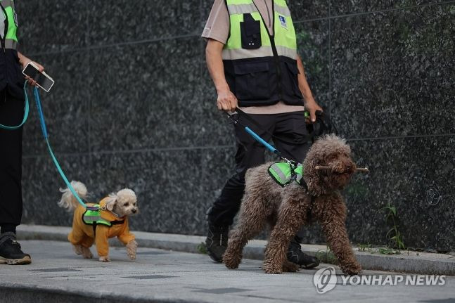 서울반려견순찰대 대원들이 지난 5월 서울 양천구 일대에서 청소년 선도 합동순찰을 하고 있다.ⓒ연합뉴스