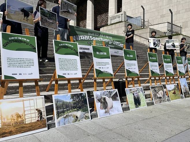 10월4일 ‘세계 동물의 날’을 맞아 국내 동물단체 4곳이 이날 오전 서울 세종문화회관 앞에서 기자회견을 열고 ‘보금자리 선언문’을 발표했다. 김지숙 기자