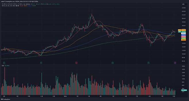 AMD(종목 코드 : AMD)의 주가 흐름을 보여주는 일봉 차트. / 출처=트레이딩뷰