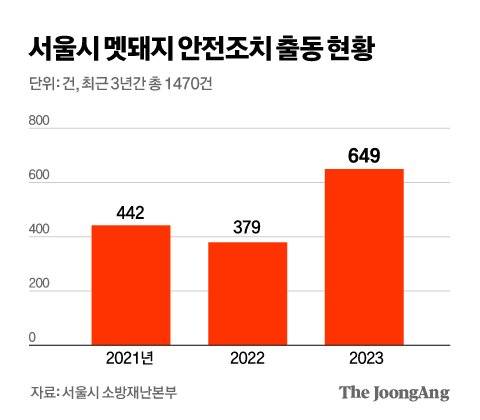 최근 3년간 서울시 멧돼지 안전 조치 출동 현황. 그래픽=김영옥 기자