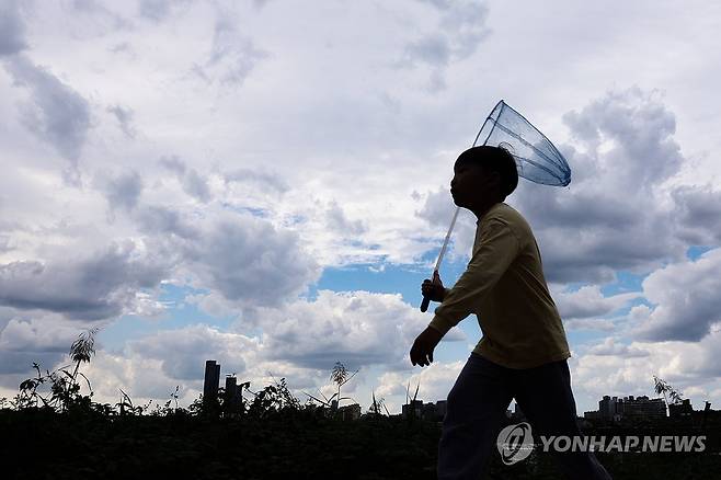 가을 잡으러 (서울=연합뉴스) 서대연 기자 = 완연한 가을 날씨를 보인 3일 오후 서울 서초구 잠원한강공원에서 한 어린이가 잠자리채를 들고 곤충채집을 하고 있다. 2024.10.3 dwise@yna.co.kr