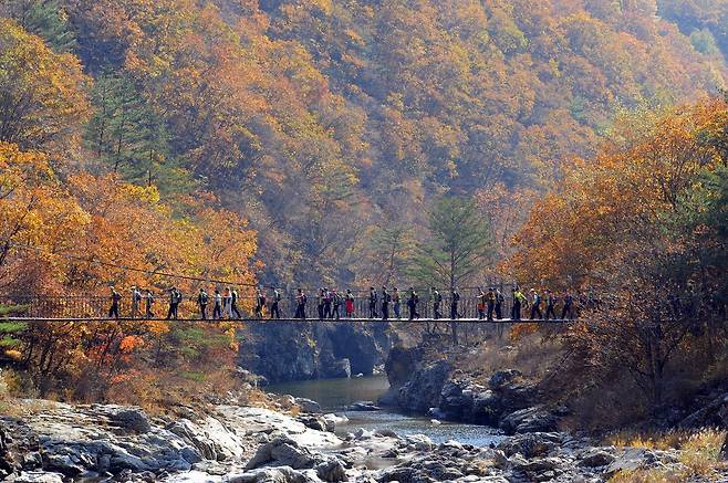 두타연 출렁다리 [양구군 제공. 재판매 및 DB 금지]