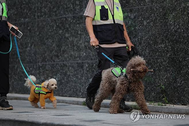 내가 바로 이구역 보안관 (서울=연합뉴스) 임화영 기자 = 서울반려견순찰대 대원들이 22일 오후 서울 양천구 일대에서 청소년 선도 합동순찰을 하고 있다. 2024.5.22 hwayoung7@yna.co.kr