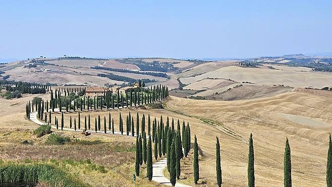 르네상스 화가들은 토스카나 풍경을 이상적 구도로 여겨왔다. 사진은 토스카나의 상징적 풍경. 사이프러스 나무가 핵심이다.