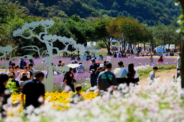 ▲ 지난 5일 강원 인제군 북면 용대관광지 일대에서 열린 ‘가을꽃축제’에서 관광객들이 꽃길을 걸으며 가을 정취를 느끼고 있다. ‘인제에서 꽃길만 걷자’를 테마로 열린 이번 축제는 오는 20일까지 이어진다.인제군 제공