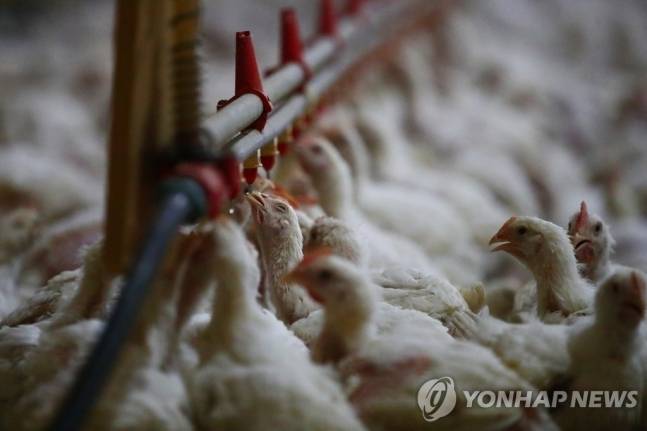 연합뉴스