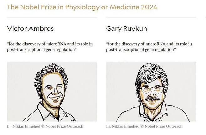 스웨덴 카롤린스카연구소 노벨위원회는 올해 노벨 생리의학상에 마이크로RNA 발견에 기여한 미국 생물학자 빅터 앰브로스(왼쪽)와 게리 러브컨을 선정했다고 7일(현지시간) 발표했다. 노벨위원회 홈페이지 캡처. 연합뉴스