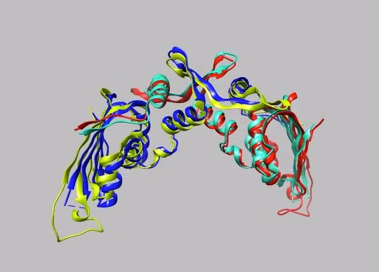 다분자 단백질 중 하나의 구조를 나타낸 모습. 단백질은 아미노산이 배열된 순서에 따라 다양한 형태로 꼬여 있는 3차원 구조로 돼 있다. CASP