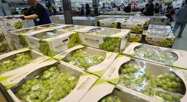 An employee is displaying Shine Muscats at a large supermarket in Seoul. (Yonhap)