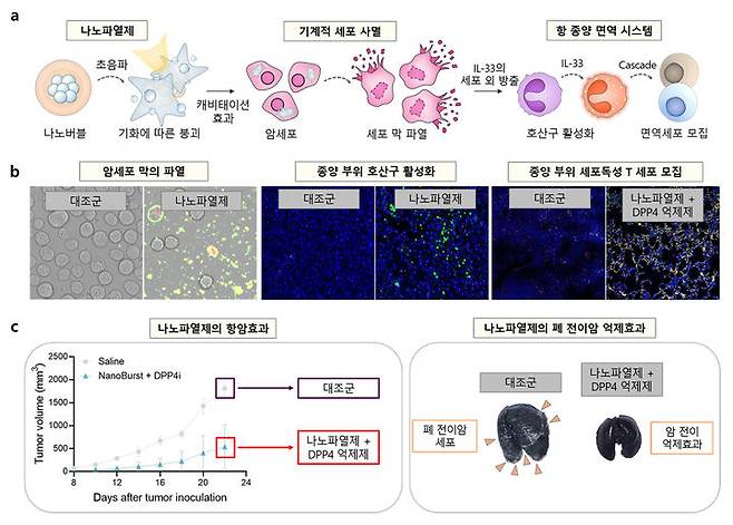 [부산=뉴시스] 나노기포를 이용한 새로운 기계적 사멸법과 이를 기반으로 한 암 치료법의 모식도. (사진=국립부경대 제공) *재판매 및 DB 금지