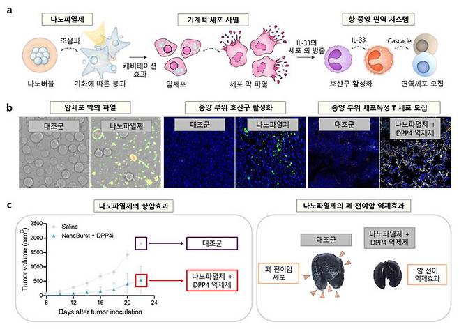 국립부경대·한국공학대·성균관대 연구팀이 개발에 성공한 나노기포를 이용한 새로운 기계적 사멸법과 이를 기반으로 한 암 치료법 모식도. 부경대 제공
