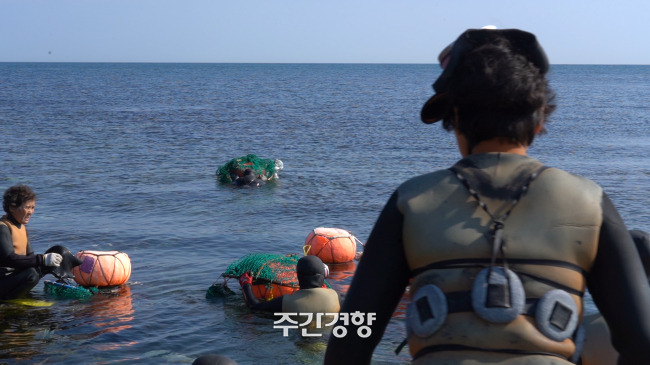 제주 해녀들이 물질을 시작하러 바다로 이동하고 있다. 경향신문 자료사진