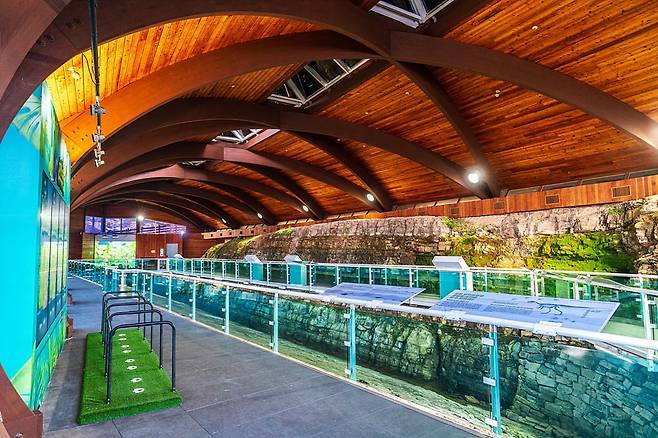 두 발로 걷던 조각류 공룡의 발자국 화석 263점을 만나는 조각류 공룡관