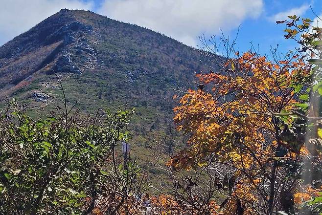 In a photo provided by the Korea Meteorological Administration, the first fall foliage is observed on Mount Seorak in Gangwon on Oct. 4. [KOREA METEOROLOGICAL ADMINISTRATION]