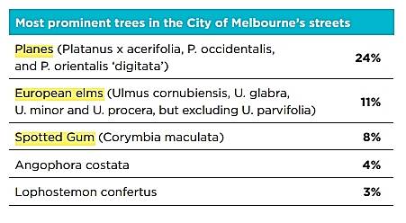 2012년 당시 멜버른에 버즘나무 등 일부 속의 나무가 상당 부분을 차지하고 있음을 알 수 있다.  도시숲 전략 자료 발췌.