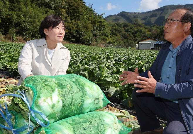 배추 생육 상황 점검하는 송미령 농림축산식품부 장관 [농림축산식품부 제공. 재판매 및 DB 금지]