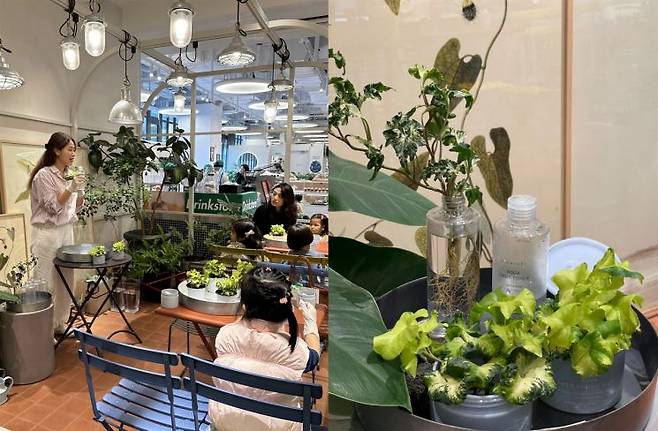 [좌측부터 ‘에스네이처 공병 활용 가드닝 클래스’를 경청하는 엄마와 아이들 / 클레스에 참여한 엄마와 아이들이 만든 에스네이처 화장품 공병을 활용한 플랜테리어]