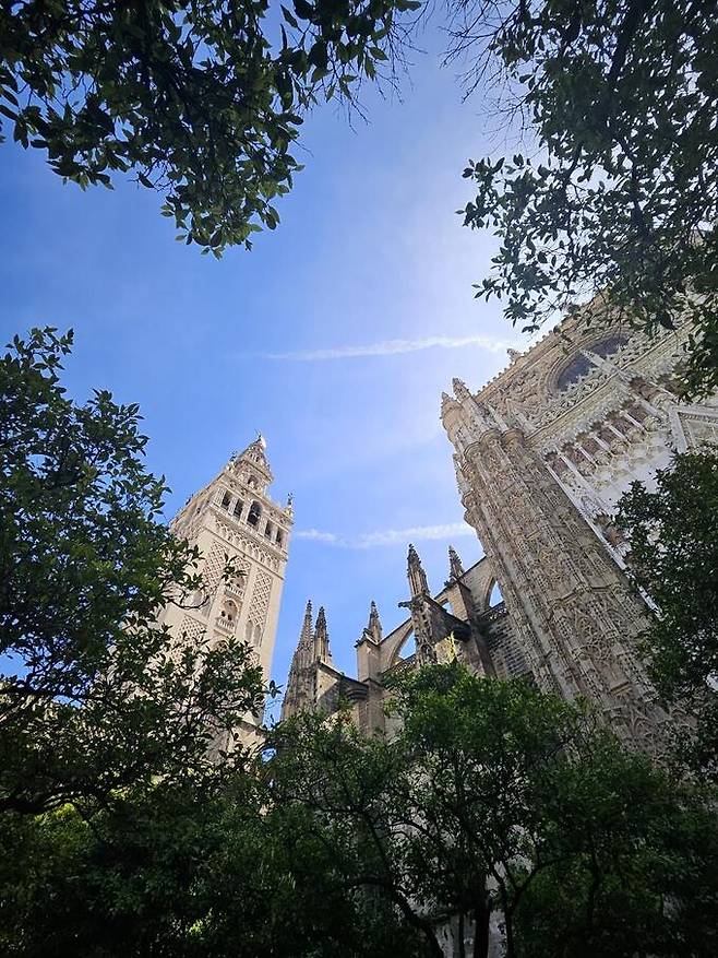 히랄다 탑&nbsp; &nbsp; &nbsp; &nbsp; &nbsp; &nbsp;필자 제공