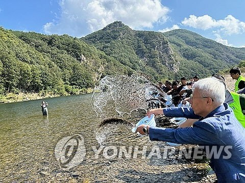 금강에 다슬기 방류 (홍성=연합뉴스) 11일 충남 금산군 부리면 금강 일원에서 충남도 수산자원연구소 등 관계자들이 어린 다슬기 20만패를 방류하고 있다. 2024.10.11 [충남도 제공. 재판매 및 DB 금지] soyun@yna.co.kr