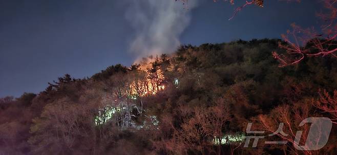 지난 4월13일 불이 났던 부산 사하구 천마산 모습(사하경찰서 제공).