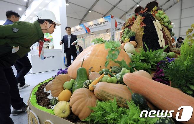 국제종자박람회를 찾은 농업인들이 대형 호박을 보고 있다.(사진은 기사 내용과 무관함) / 뉴스1 ⓒ News1