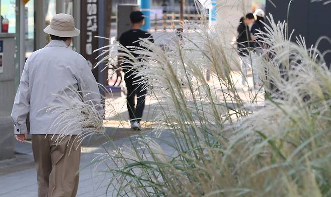 한글날인 9일 오전 서울 시내에서 시민들이 쌀쌀한 날씨에 든든한 옷차림을 하고 발걸음을 옮기고 있다. /뉴스1