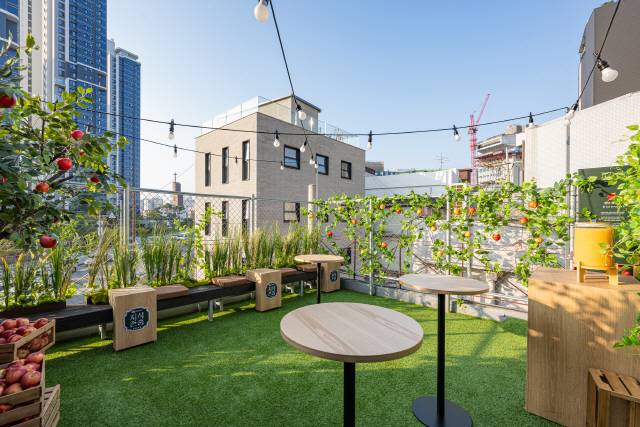 ▲ 서울 성수동 ‘양구오감빌리지’ 팝업스토어 전경, 팝업스토어에는 두타연과 해안 야생화공원 등 군의 주요 관광지를 재현한 공간과 양구 과수원 콘셉트의 루프탑 공간이 마련됐다.