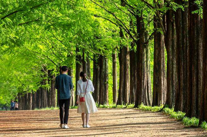 가을철 열성질환 주의법이 주목된다. 사진은 기사 내용과는 무관함. /사진=이미지투데이