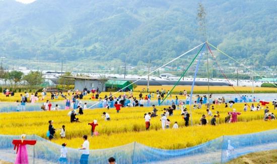 2024 성주가야산황금들녘메뚜기축제 모습.[성주군 제공]