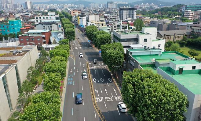 양버즘나무를 사각형으로 꾸민 거리 1.5km 정조로의 모습. 사진제공=수원시