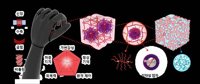 자성 복합 인공근육 및 소재 모식도.[UNIST 제공]