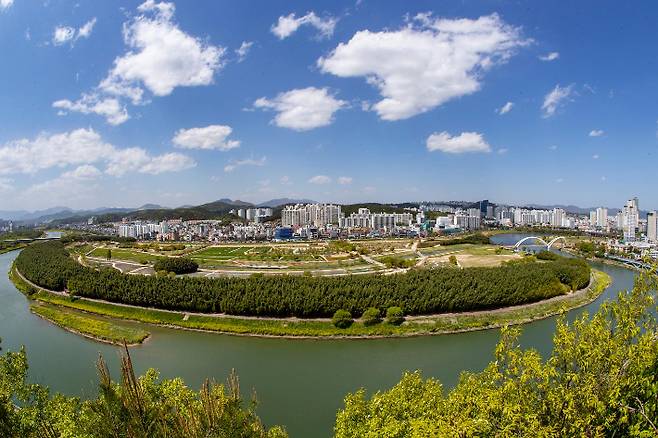 태화강국가정원 전경. 울산시 제공