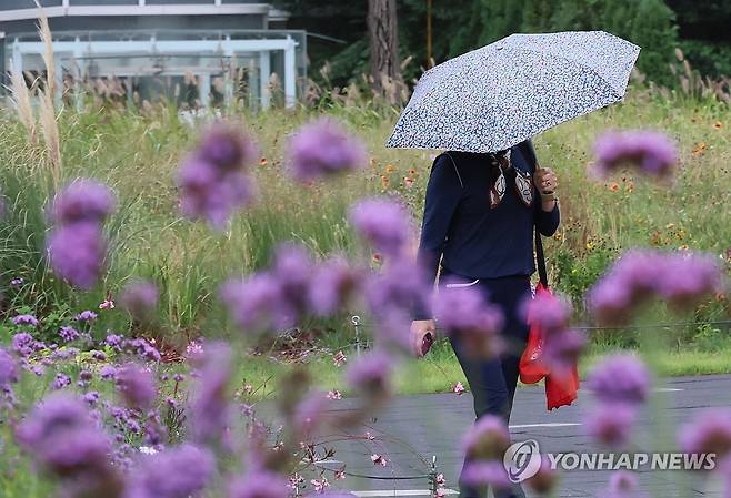 바야흐로 가을 (서울=연합뉴스) 이정훈 기자 = 전국으로 비가 내린 1일 서울 종로구 열린송현녹지광장에서 한 시민이 우산을 쓰고 이동하고 있다. 2024.10.1 uwg806@yna.co.kr