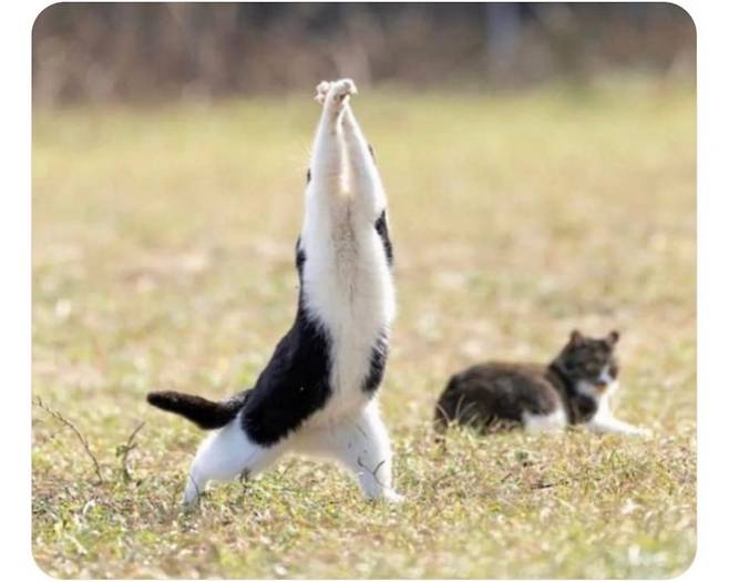 쭉 뻗은 예쁜 다리 보여주는 포즈