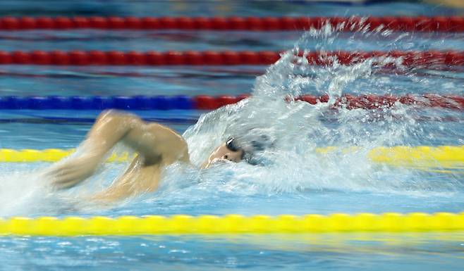 <yonhap photo-4858=""> 황선우 계영 400ｍ 질주 (창원=연합뉴스) 김동민 기자 = 15일 오후 경남 창원시 성산구 창원실내수영장에서 열린 제105회 전국체육대회(전국체전) 남자 수영 계영 400ｍ 결승. 황선우(강원)가 물살을 가르고 있다. 2024.10.15 image@yna.co.kr/2024-10-15 18:35:23/ <저작권자 ⓒ 1980-2024 ㈜연합뉴스. 무단 전재 재배포 금지, AI 학습 및 활용 금지></yonhap>