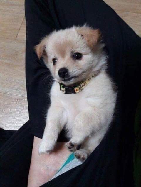 759b8902c0836bf623e985e4339c701fa788cc7642ff7b0aae42f2c5f1a6ef84e78e90bdf41613326e0ca1db3e9278692fbce184130ecf65