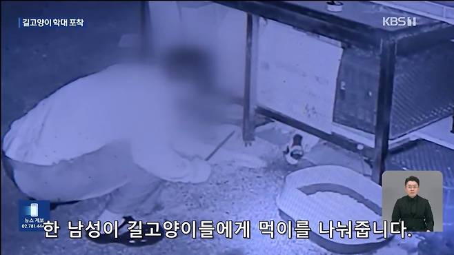 Internet_20241017_004922_1.jpeg ‘시각장애 묘’ 때리고 아기 고양이 납치…CCTV에 학대 포착