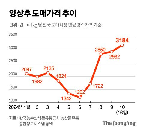 정근영 디자이너