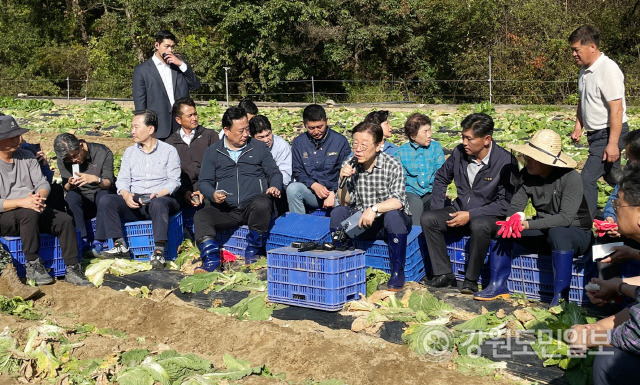 ▲ 더불어민주당 이재명 대표가 17일 강원 평창군 방림면 배추밭을 찾아 농민들의 애로사항을 들으며 대화를 나누고 있다.