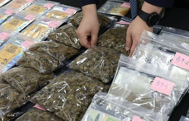 지난 8월 서울 서초구 서울중앙지검에서 열린 다크웹 대규모 온라인 마약 유통 적발 관련 브리핑에 대마 등 증거물품들이 전시돼 있다. [연합]