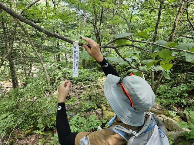 설악산국립공원 관계자가 출입금지구역 내에 ‘양심리본’을 부착하고 있다. 설악산국립공원