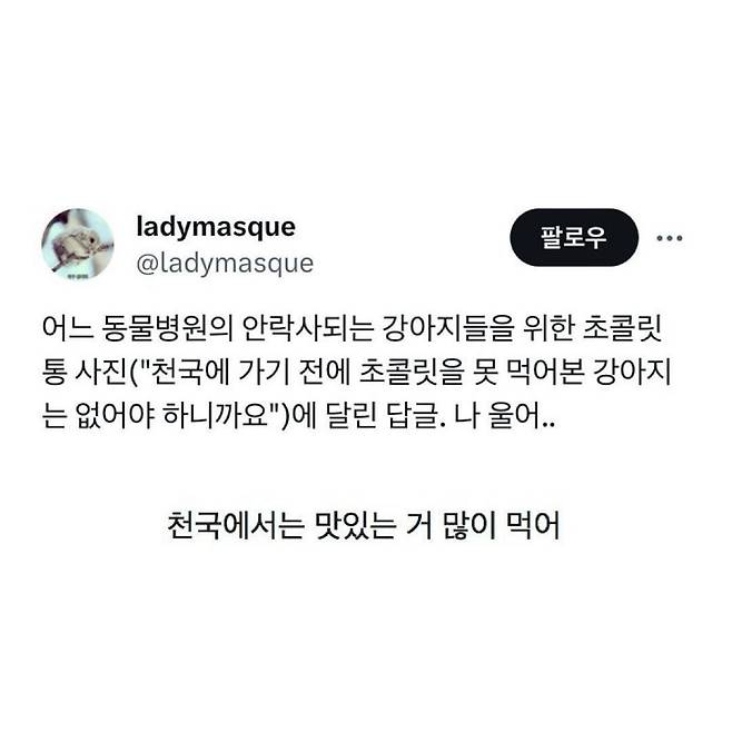 수의사가 강아지에게 준 마지막 초콜릿 ㄷㄷ..jpg