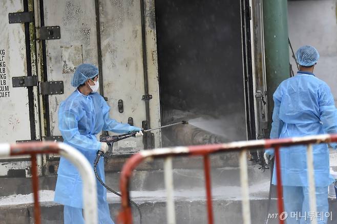 [비엔호아=AP/뉴시스] 3일(현지시각) 베트남 비엔호아의 동쏘아이 동물원에서 관계자들이 조류 인플루엔자 A형(H5N1) 바이러스에 감염돼 죽은 호랑이 사체들을 방역하고 있다. 2024.10.04. /사진=민경찬