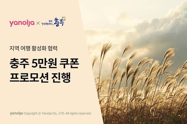 충주 5만원 할인 프로모션 포스터 [충주시 제공. 재판매 및 DB 금지]