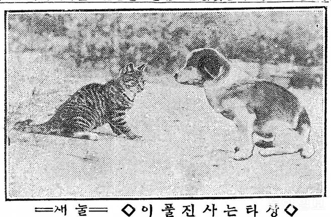 1924년 10월 13일자 동아일보.